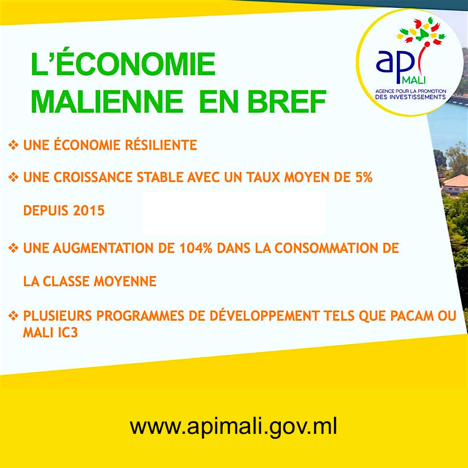 API-MALI- ÉCONOMIE