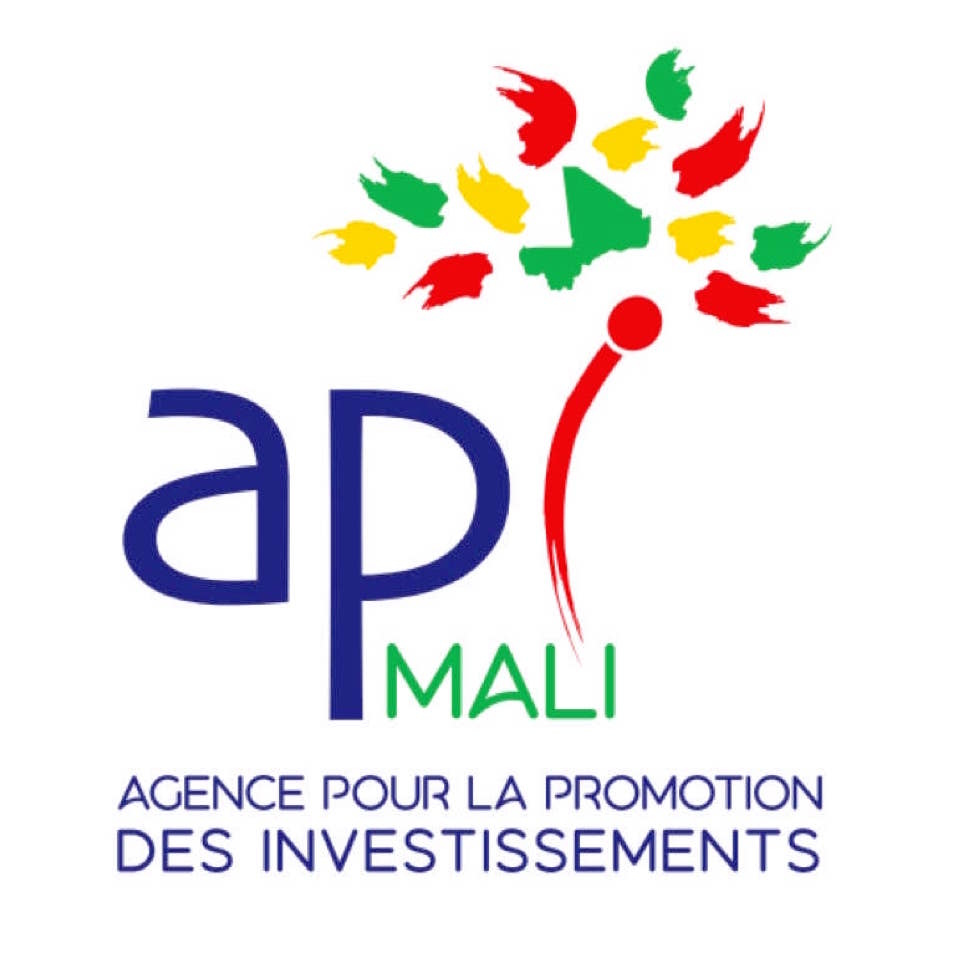 API-MALI-logo